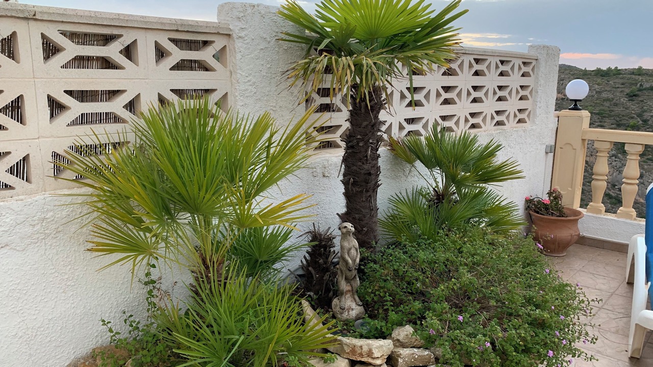 Photo of Outdoor in Pedreguer
