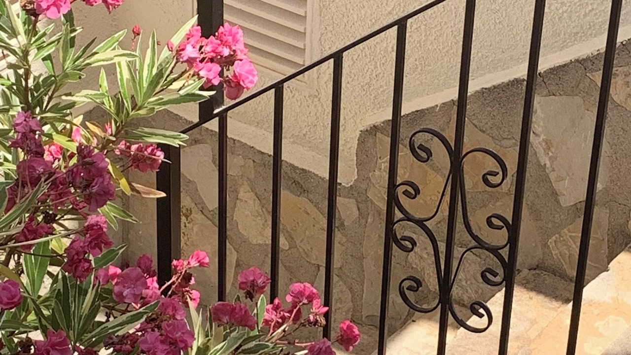 Photo of Outdoor in Pedreguer