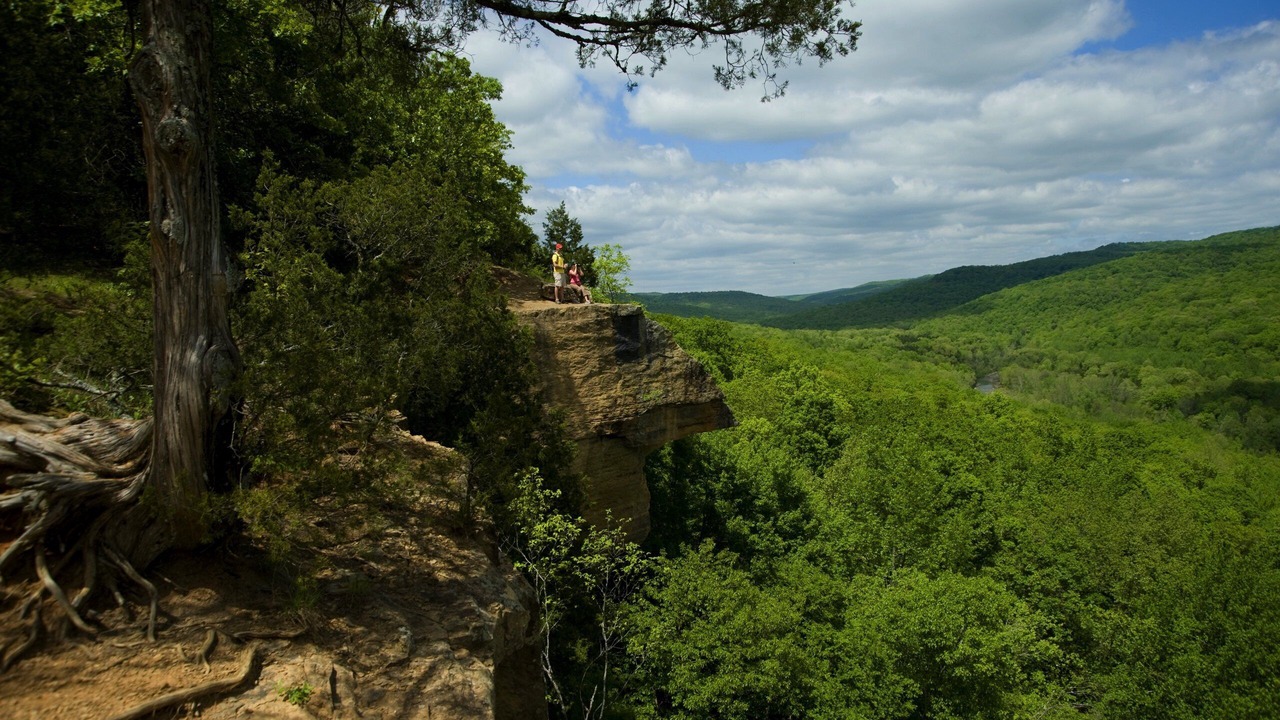 Photo of Others in Mountainburg