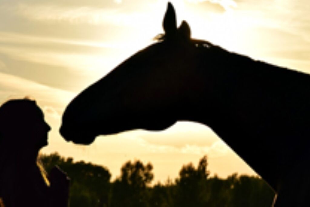 Photo of Others in Pentrefelin