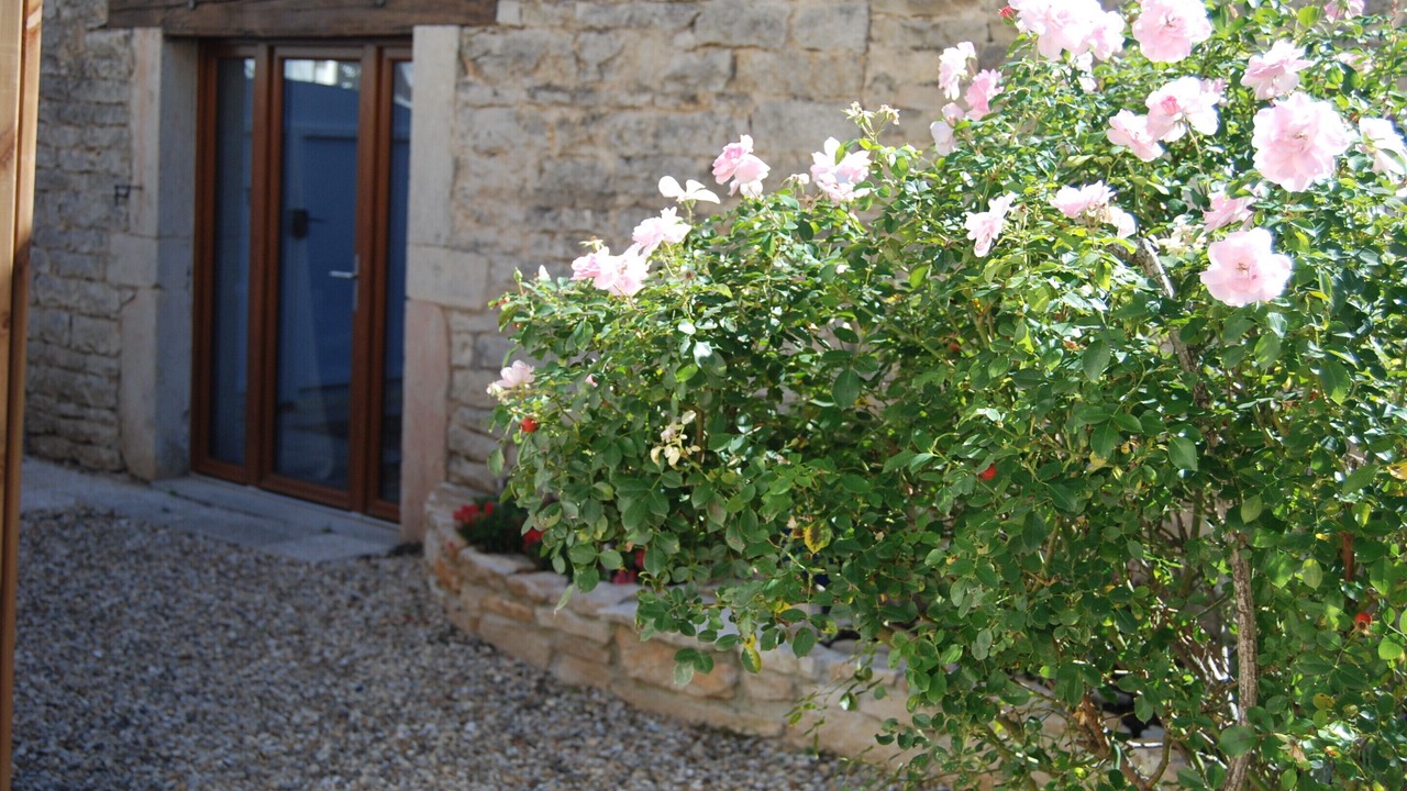 Photo of Outdoor in Remigny