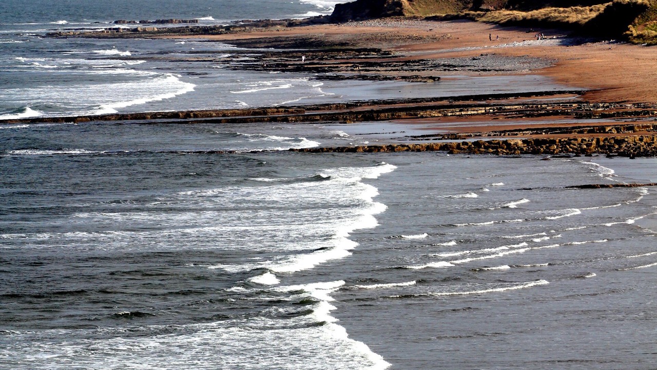 Photo of Others in Berwick-upon-Tweed
