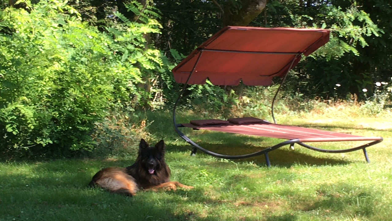 Photo of Outdoor in Saint-Germain-les-Vergnes