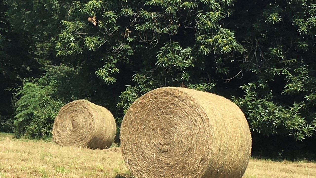 Photo of Outdoor in Saint-Germain-les-Vergnes