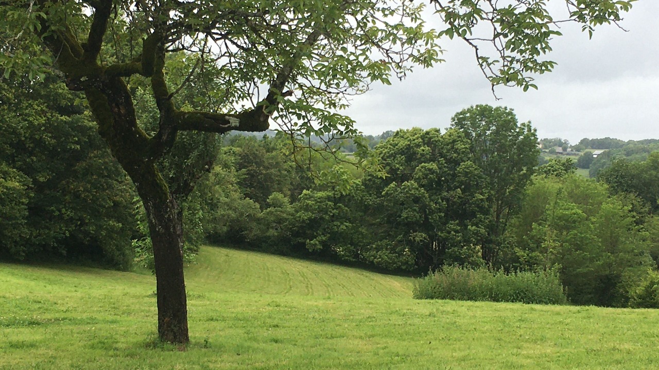Photo of Others in Saint-Germain-les-Vergnes