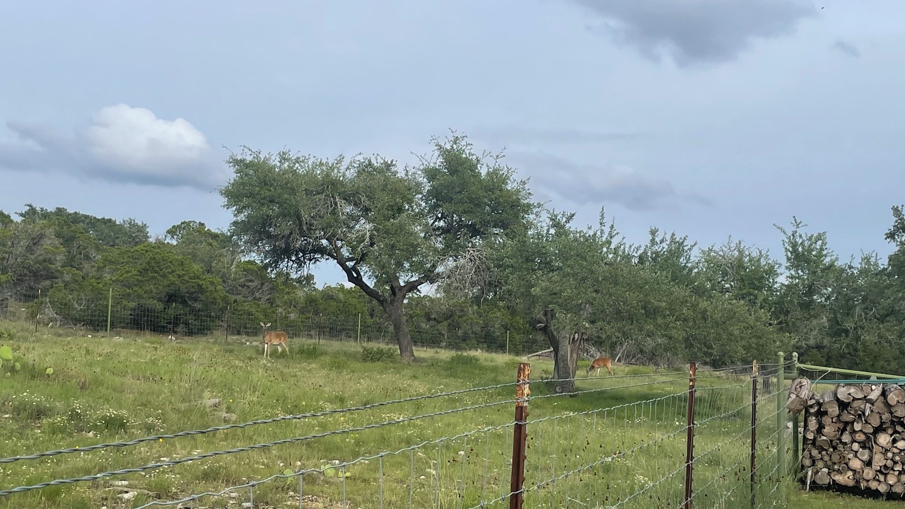 Photo of Others in Bulverde