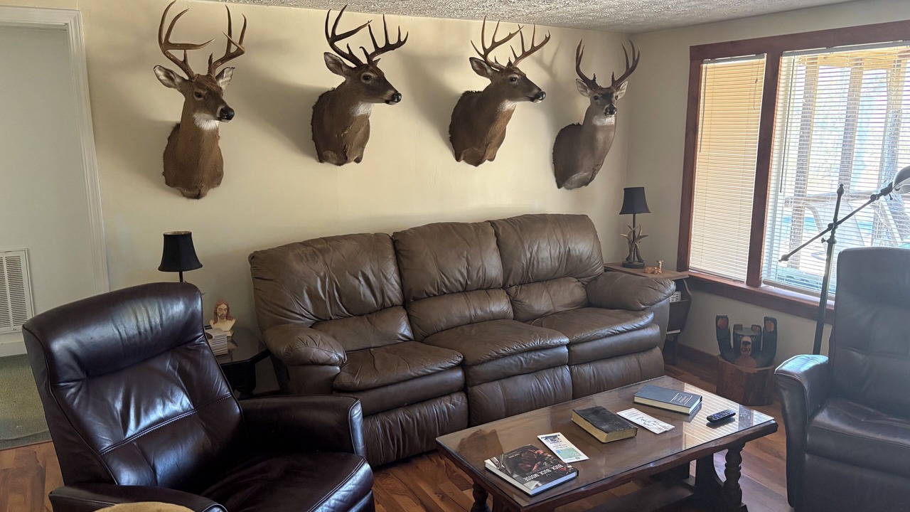 Photo of Livingroom in Lowndesville