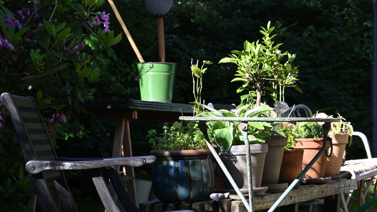 Photo of Patio Balcony in Hundested