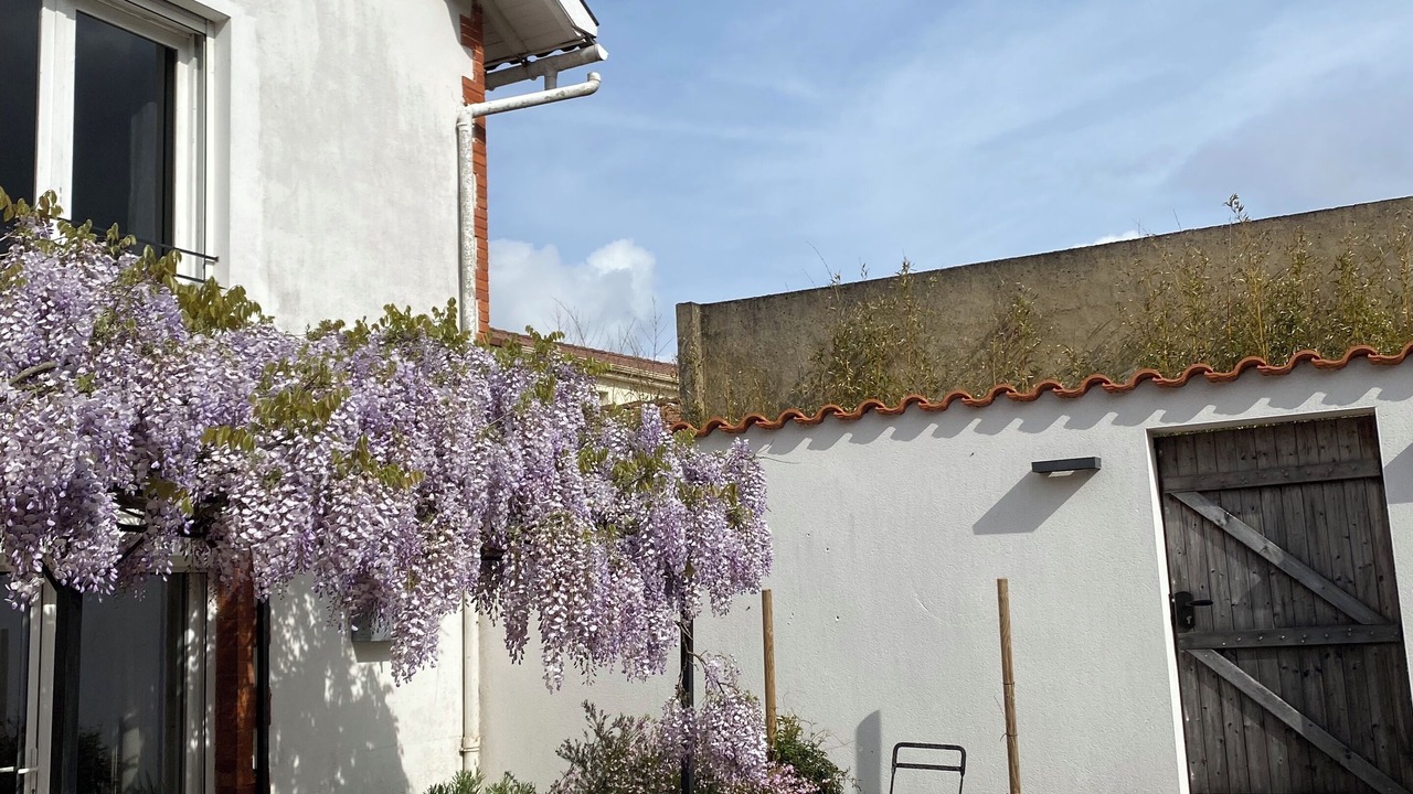 Photo of Outdoor in Jard-sur-Mer