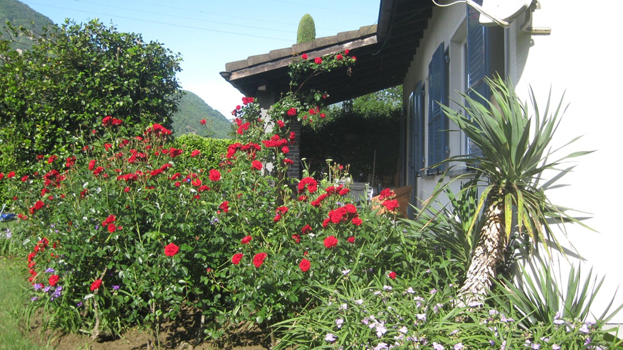 Photo of Outdoor in Arcegno