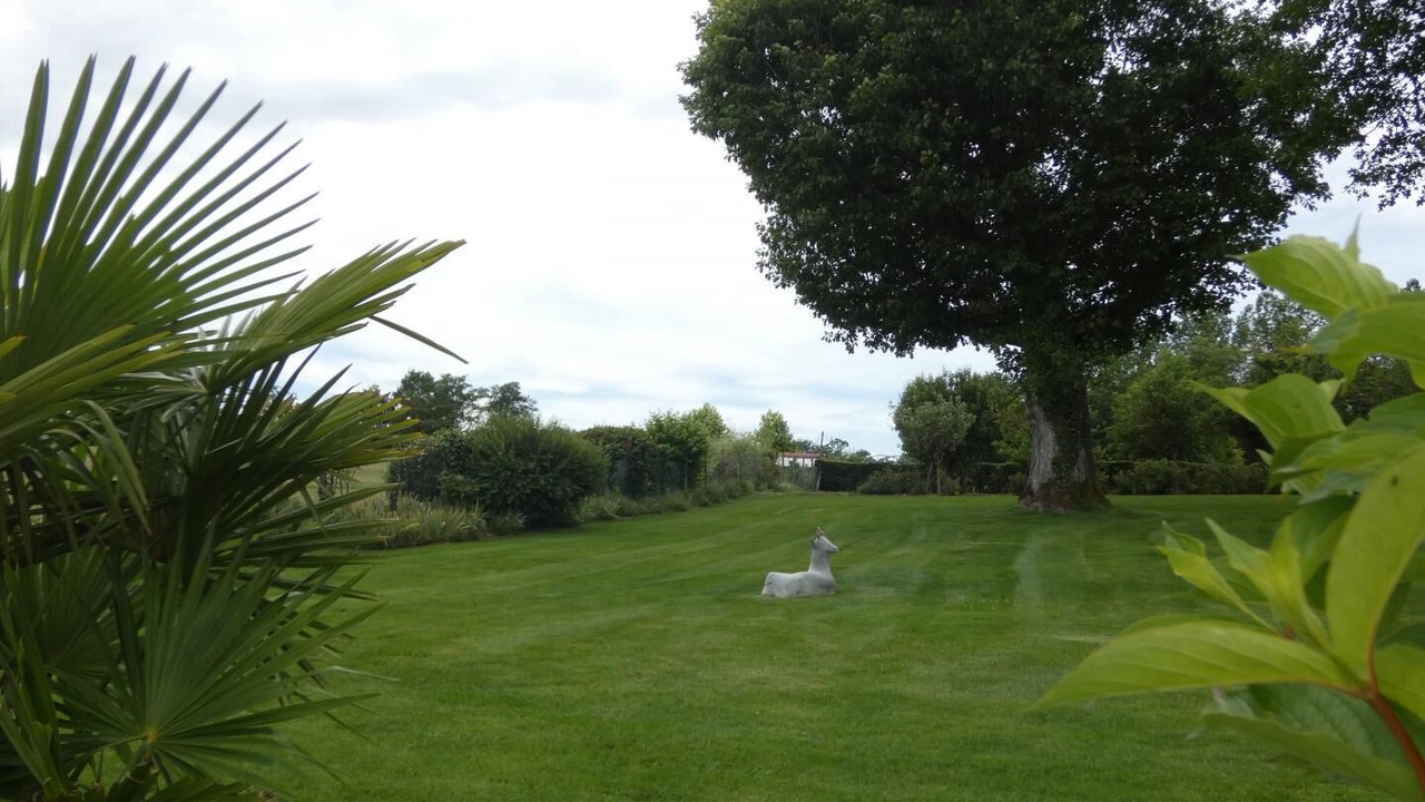 Photo of Outdoor in Hontanx