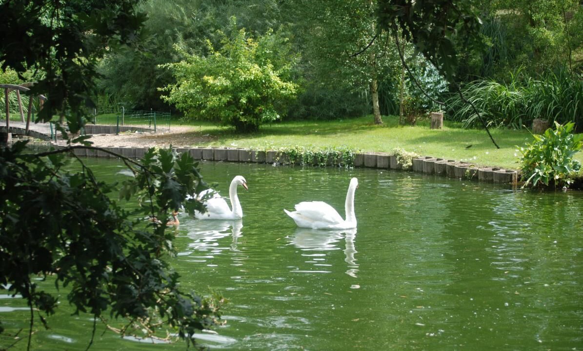 Photo of Others in Saint-Martin-d'Oney