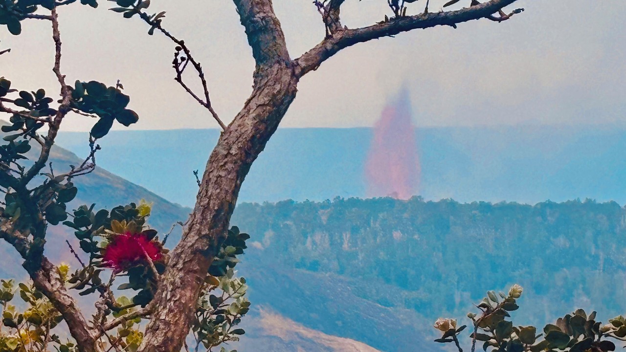 Photo of Others in Ocean View