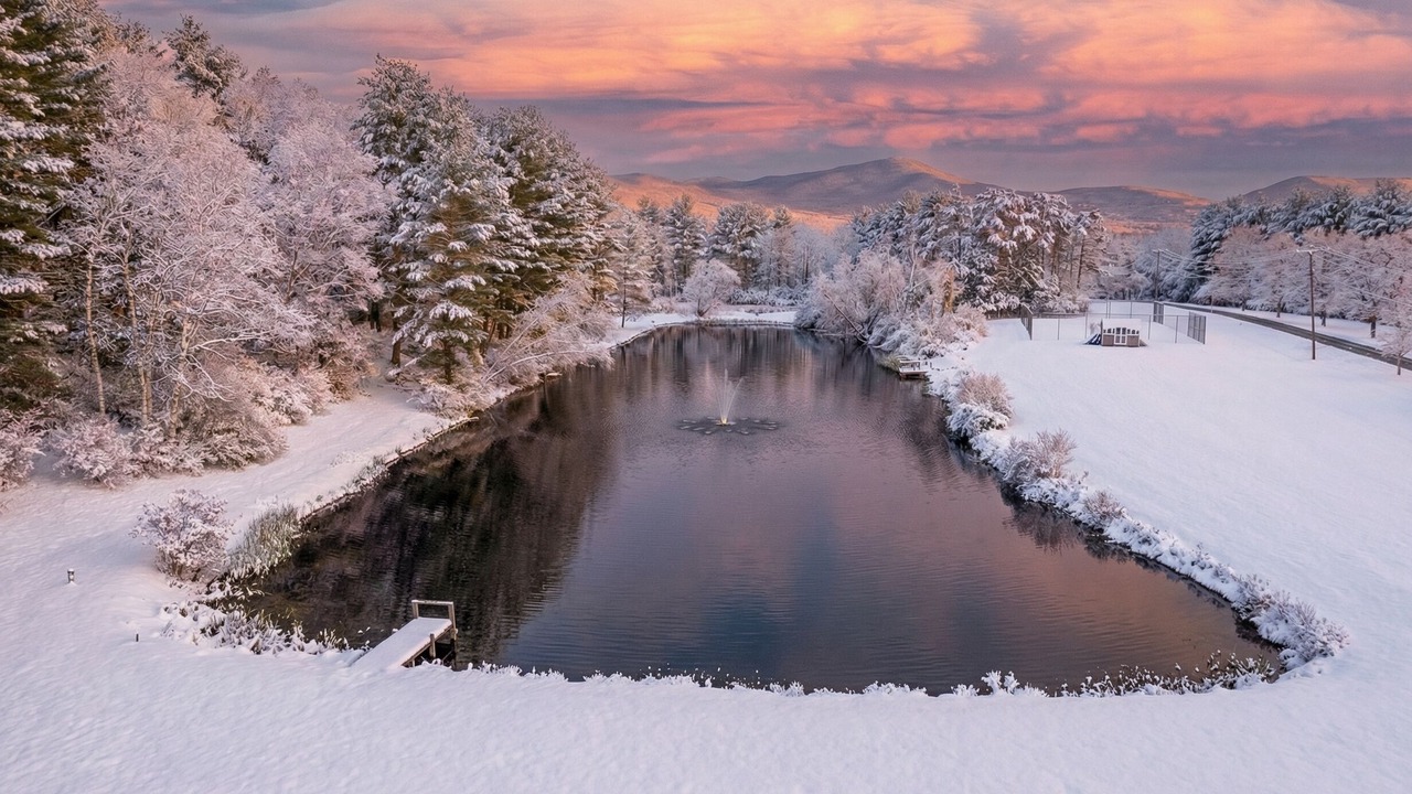 Photo of Others in East Durham