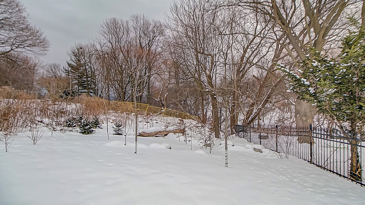 Photo of Outdoor in Scarborough