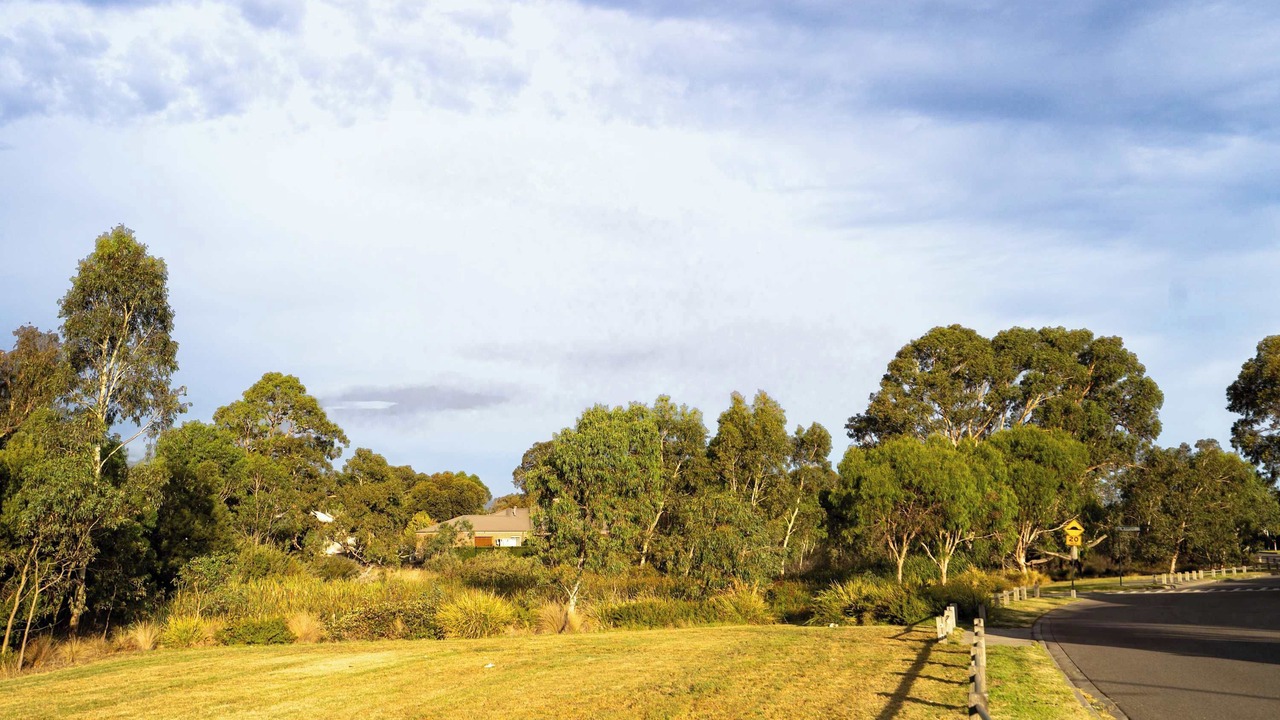 Photo of Others in Doreen