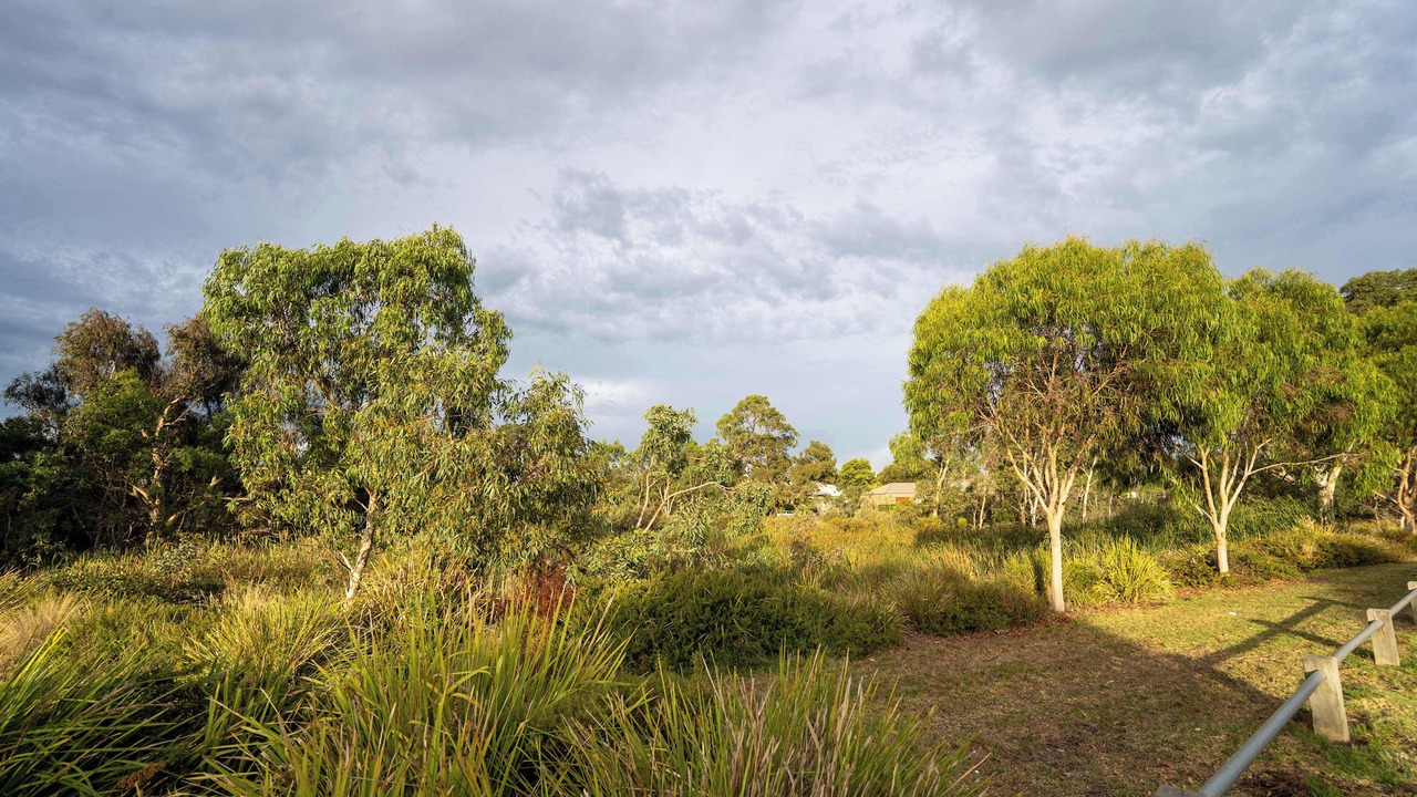 Photo of Others in Doreen