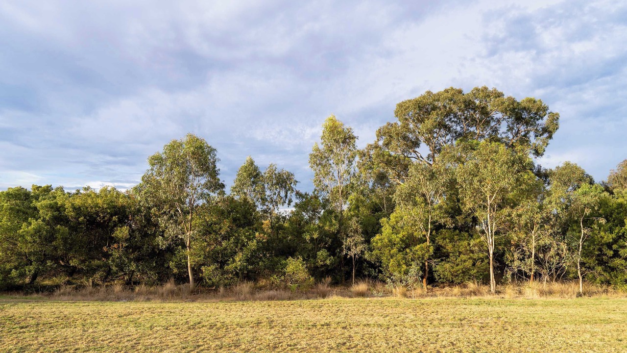 Photo of Others in Doreen