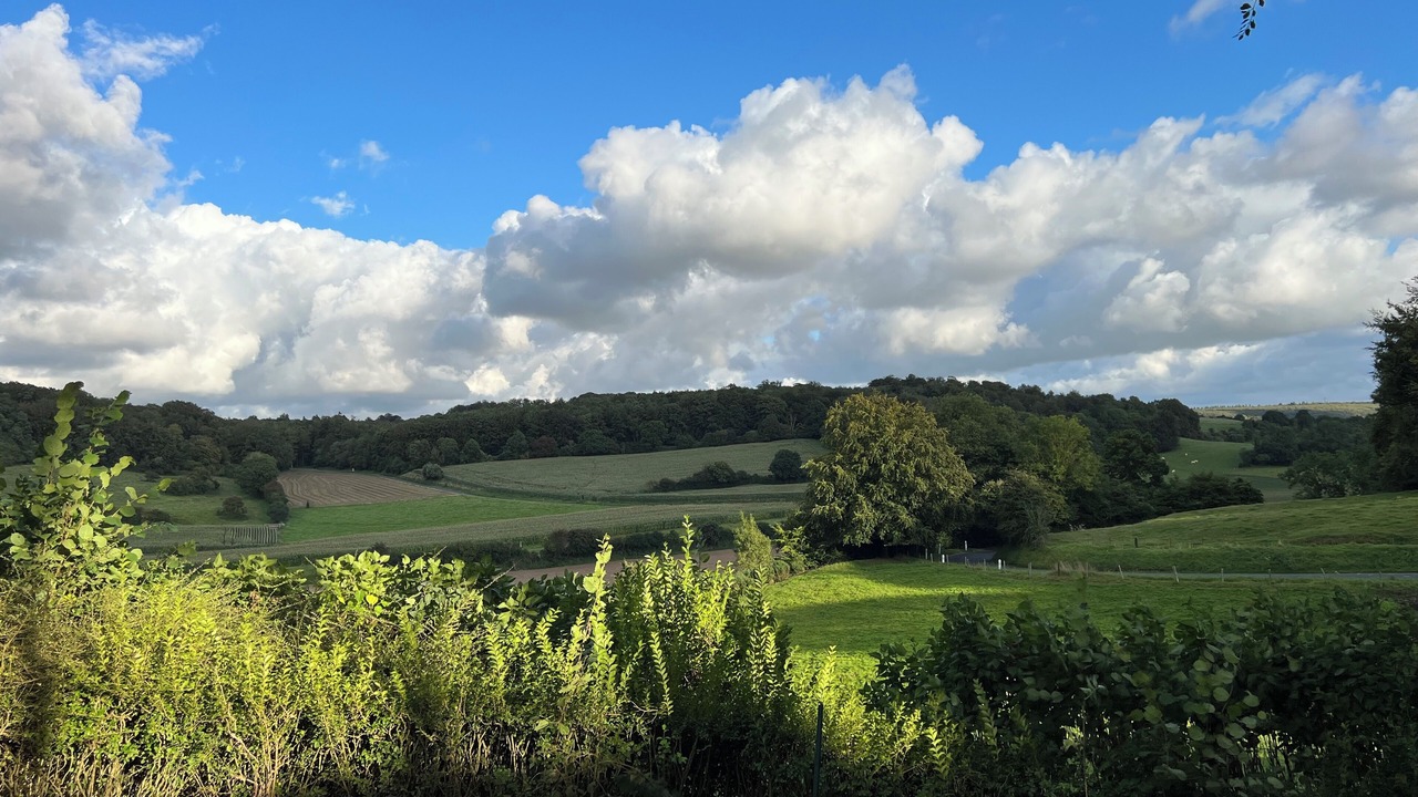 Photo of Others in Ancourt