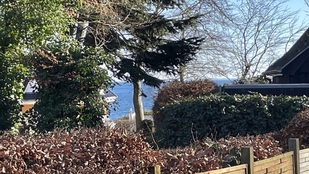 Photo of Others in Kelstrup