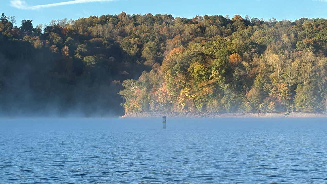 Photo of Others in Big Creek
