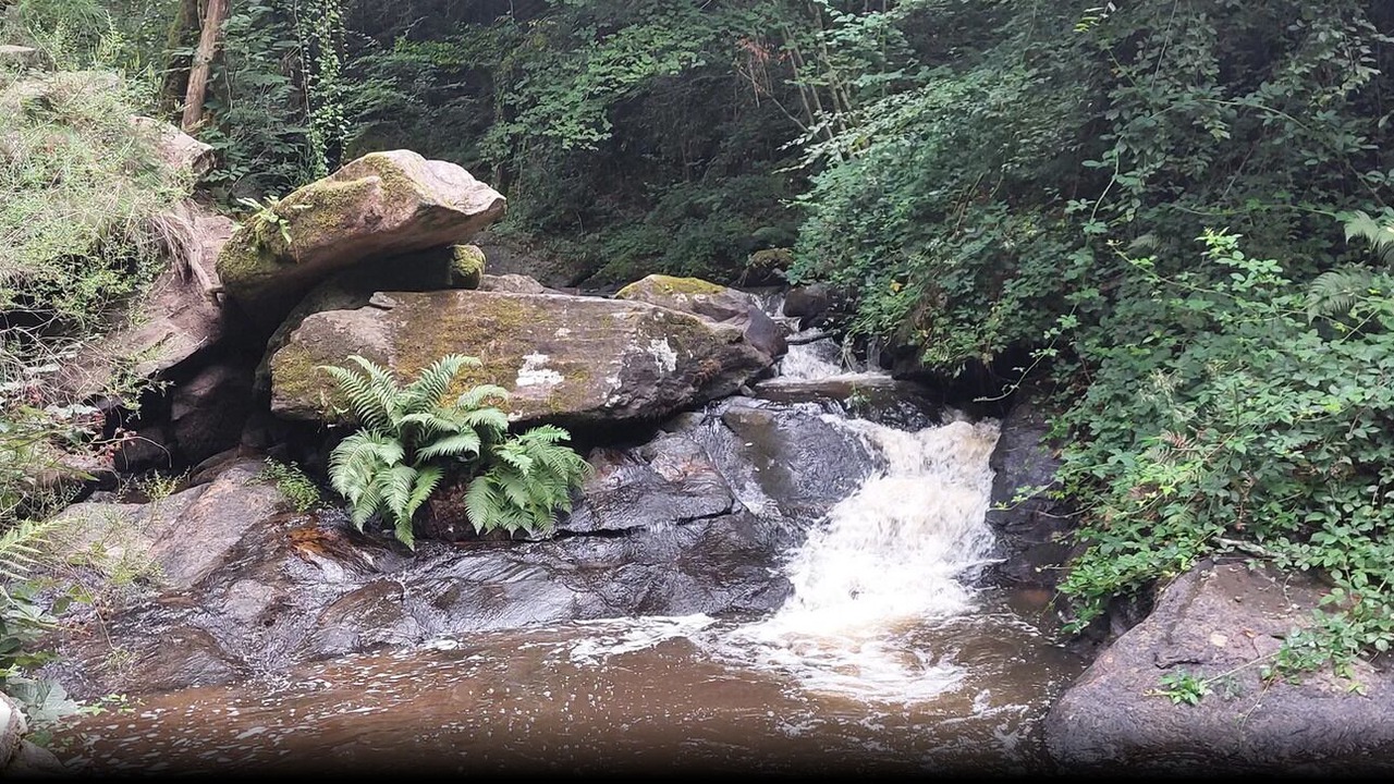 Photo of Others in Saint-Germain-les-Vergnes
