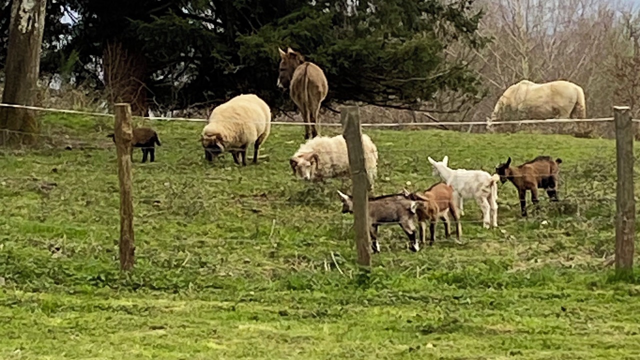 Photo of Others in Saint-Germain-les-Vergnes