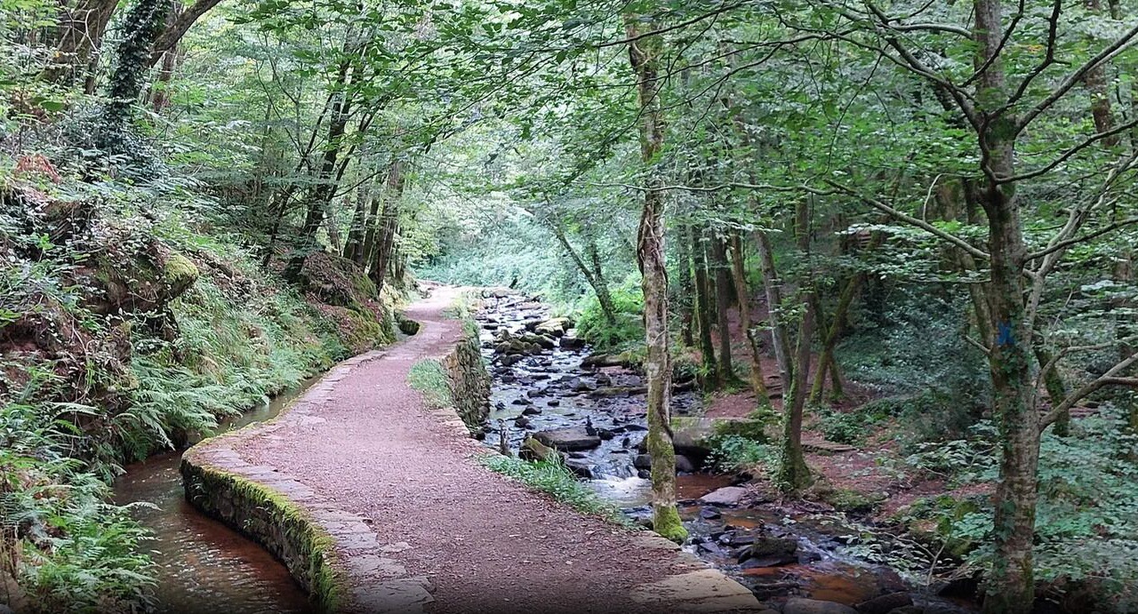 Photo of Others in Saint-Germain-les-Vergnes