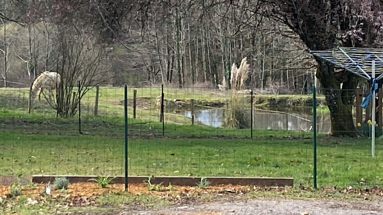 Photo of Others in Saint-Germain-les-Vergnes