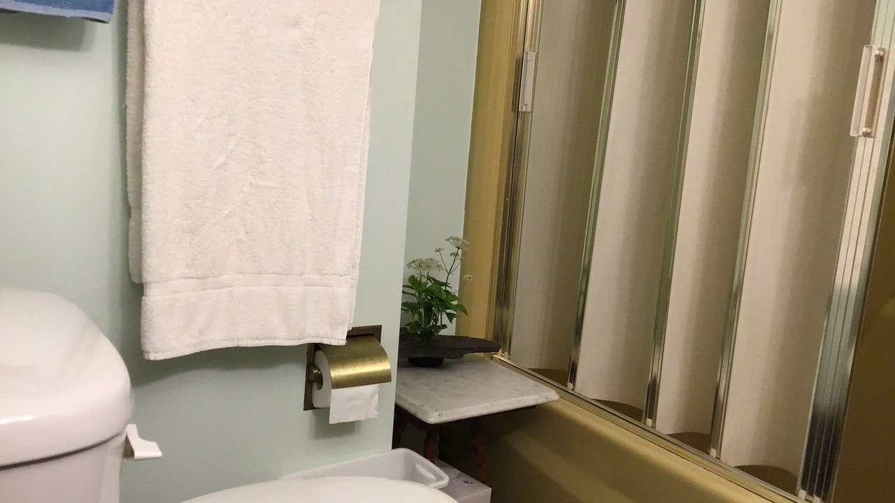 Photo of Bathroom in Van Buren Bay