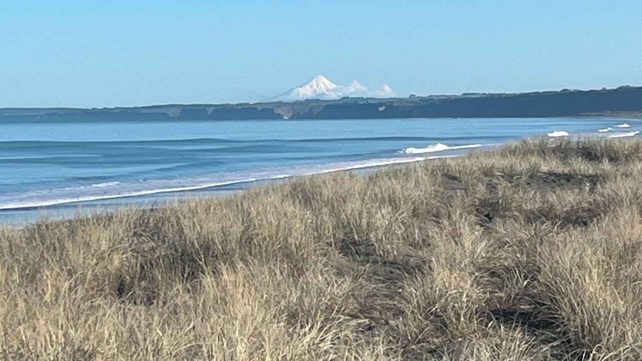 Photo of Others in Castlecliff