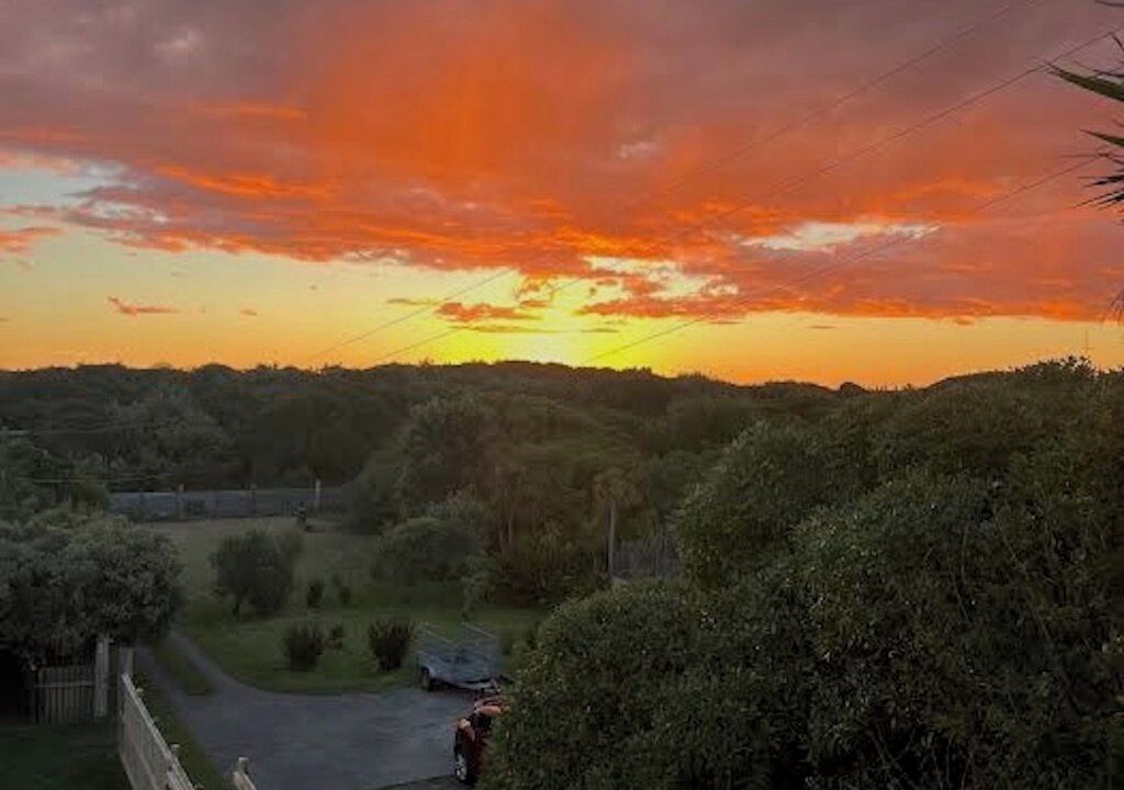 Photo of Others in Castlecliff