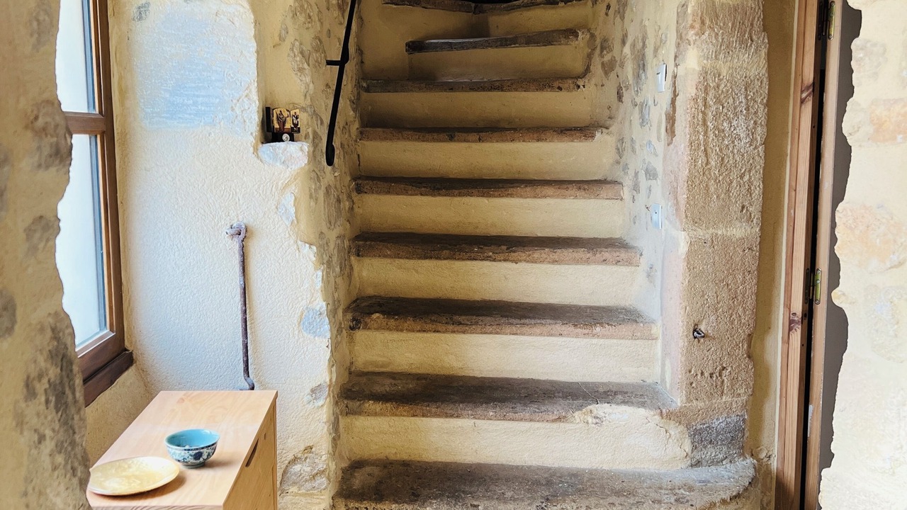 Photo of Others in Mane