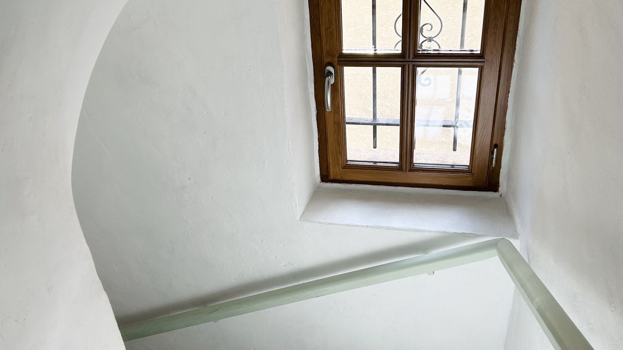 Photo of Others in Mane