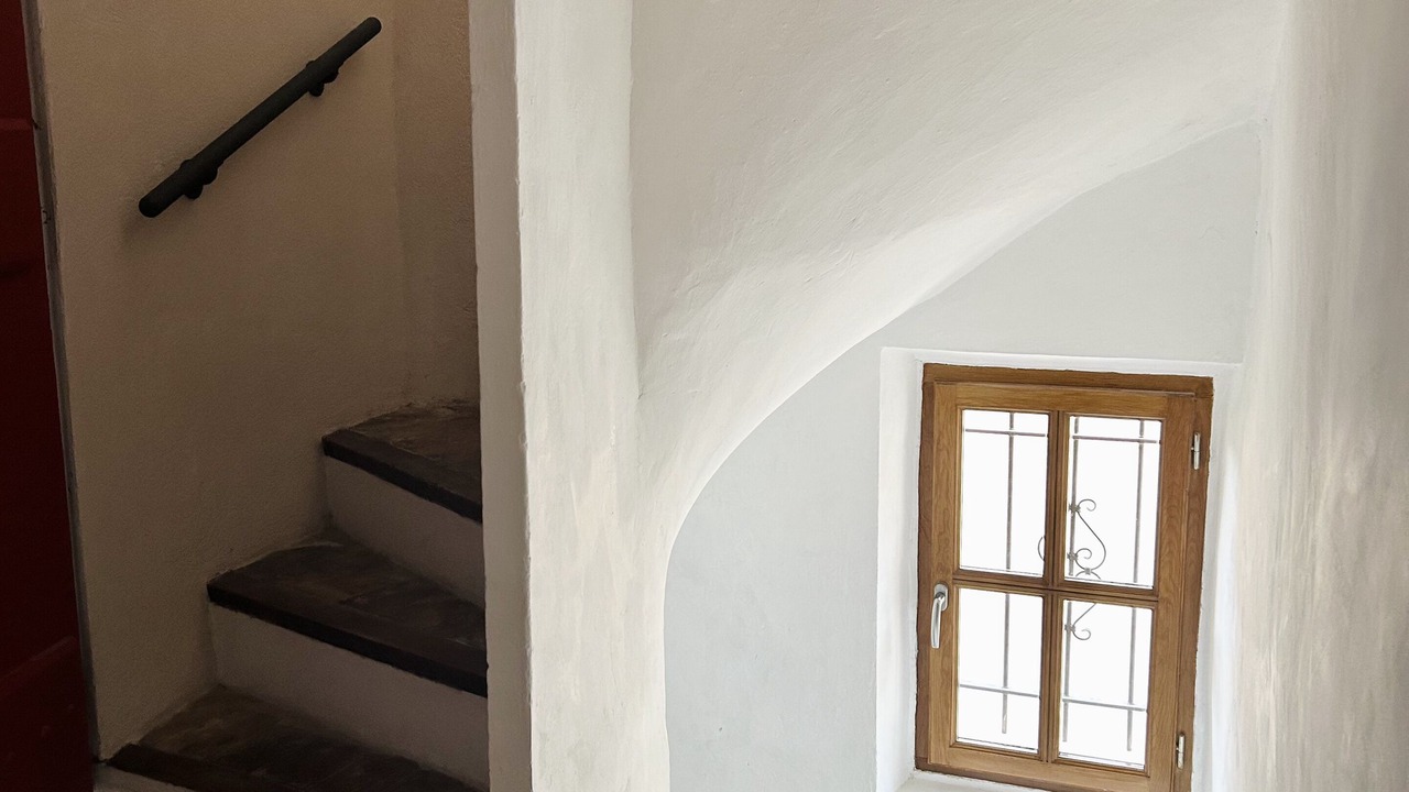 Photo of Others in Mane