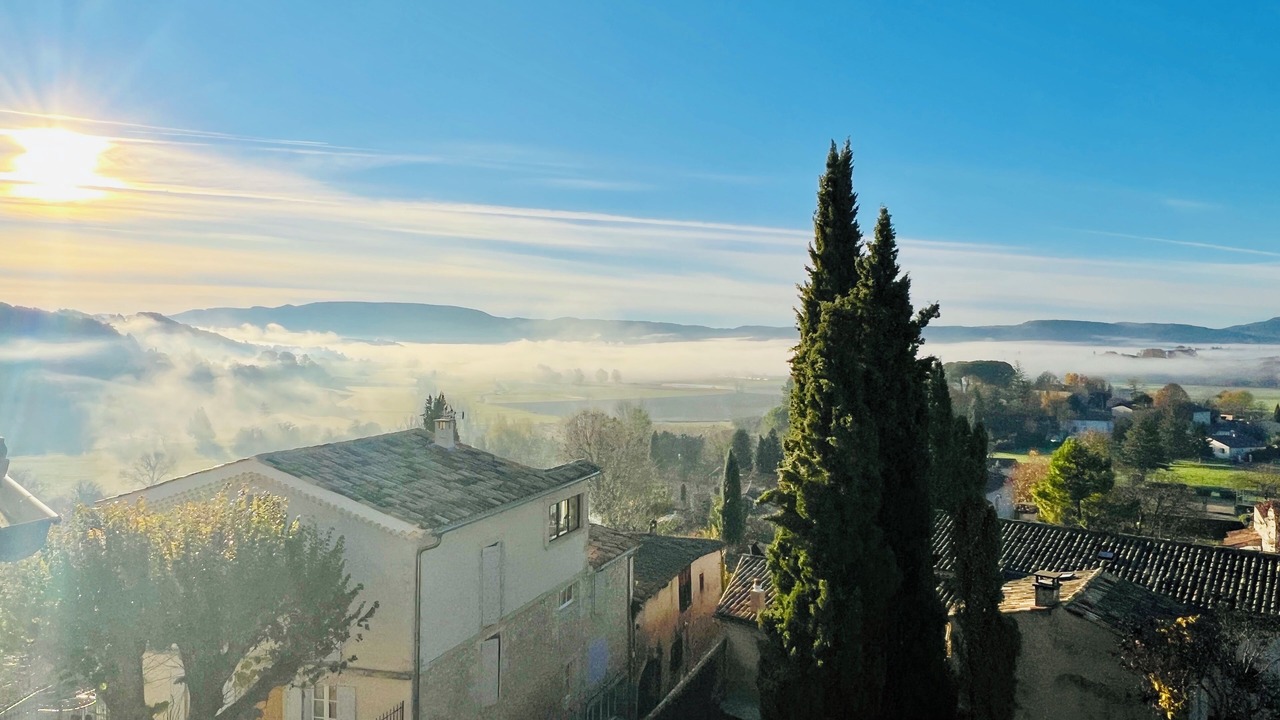 Photo of Others in Mane