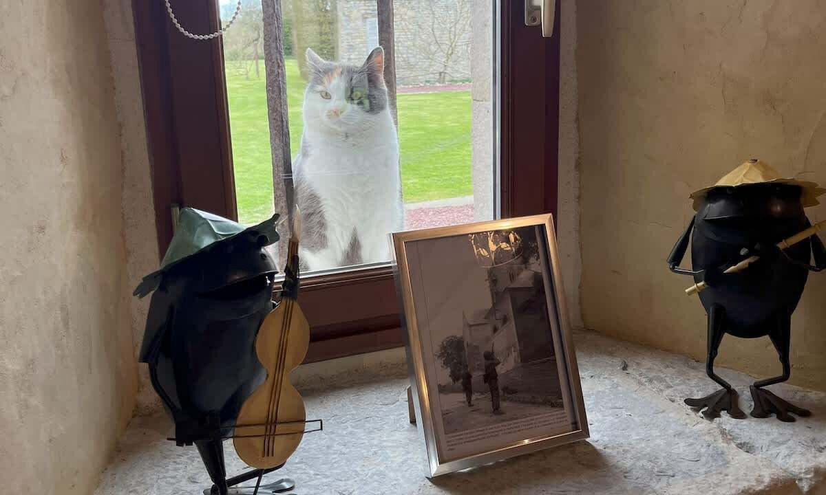 Photo of Others in Sainte-Mere-Eglise
