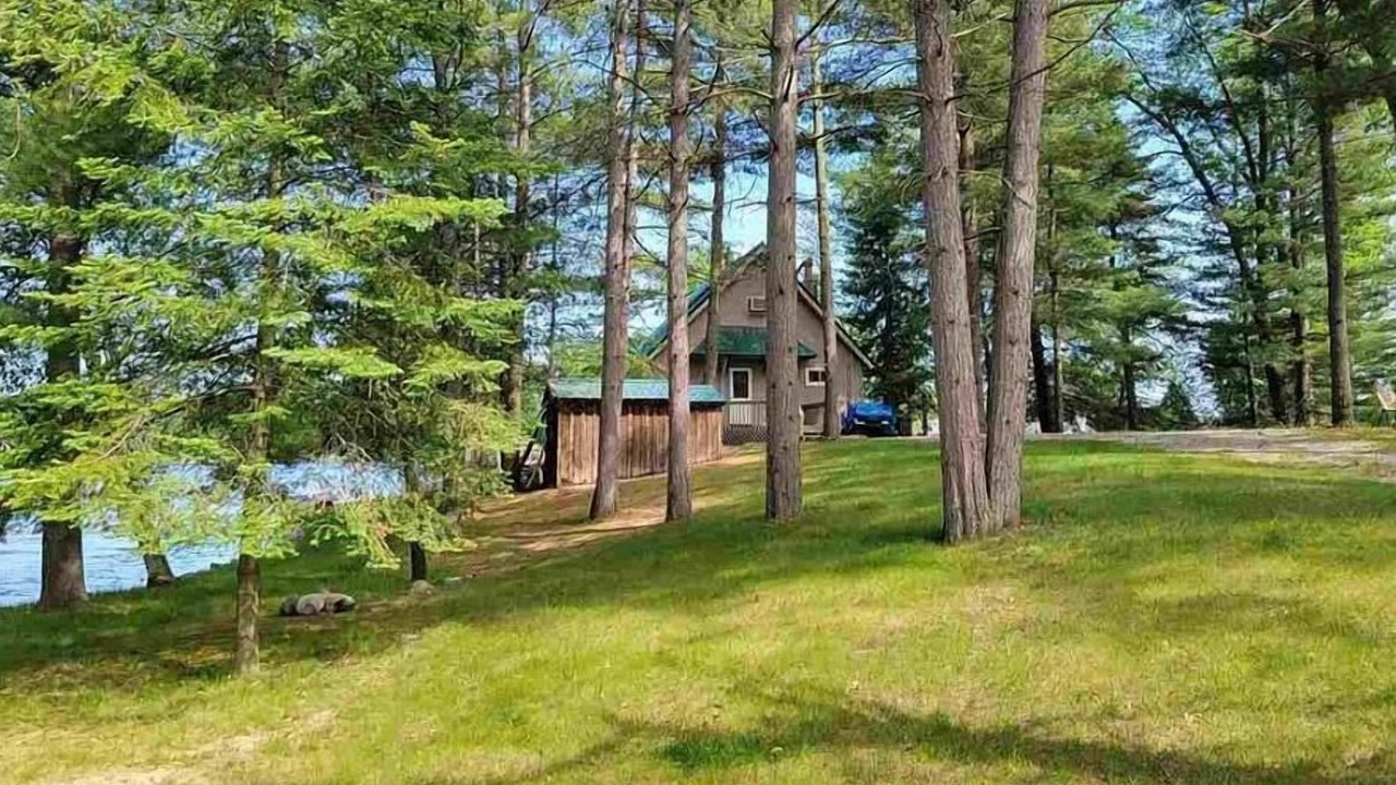 Photo of Outdoor in West Branch