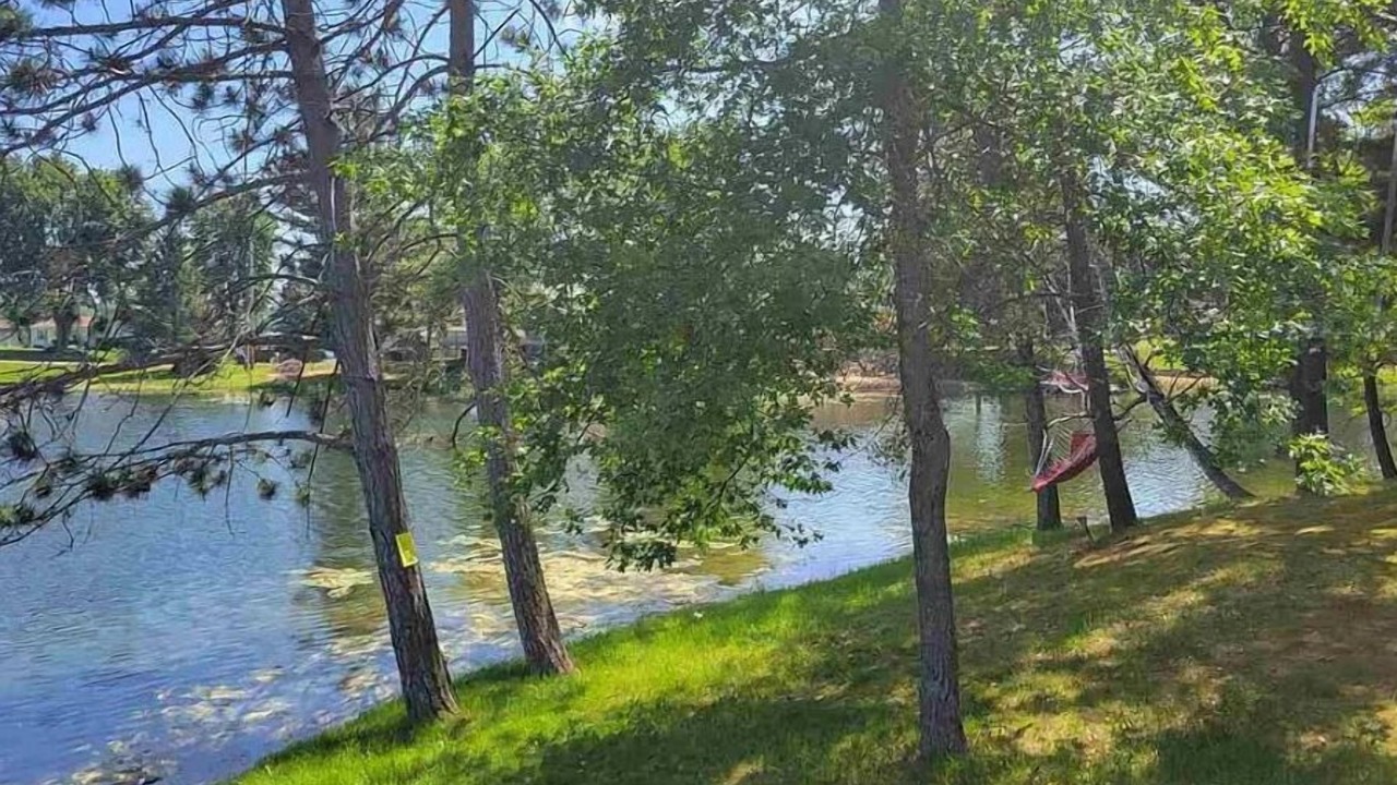 Photo of Others in West Branch
