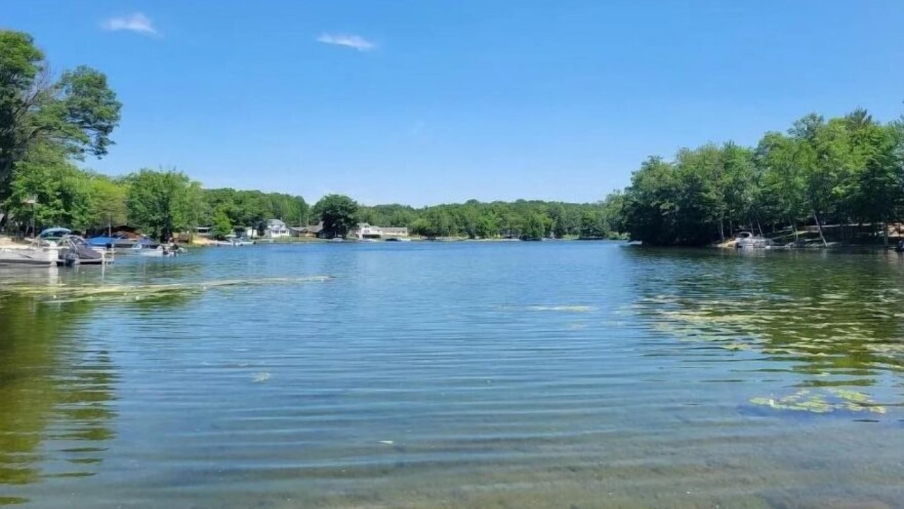 Photo of Others in West Branch