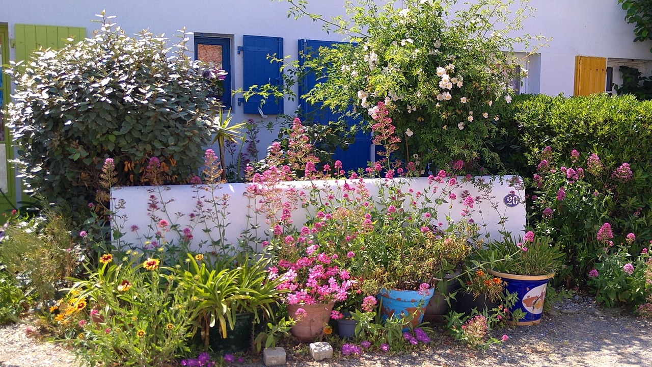 Photo of Outdoor in Ile d'Yeu