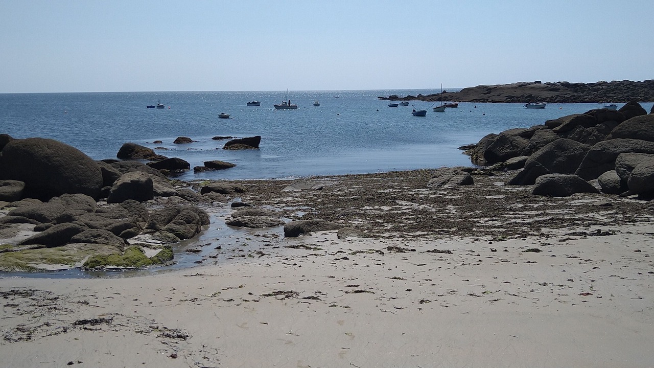 Photo of Others in Ile d'Yeu