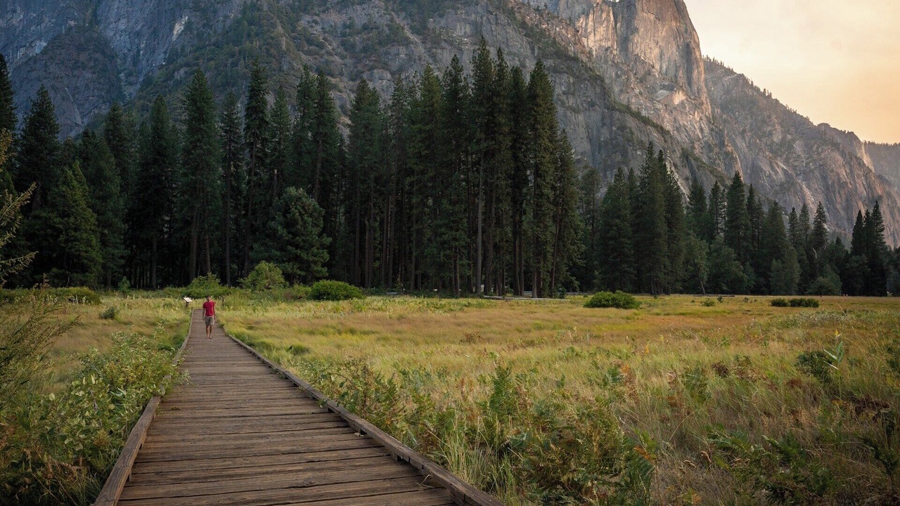 Photo of Others in Edenvale