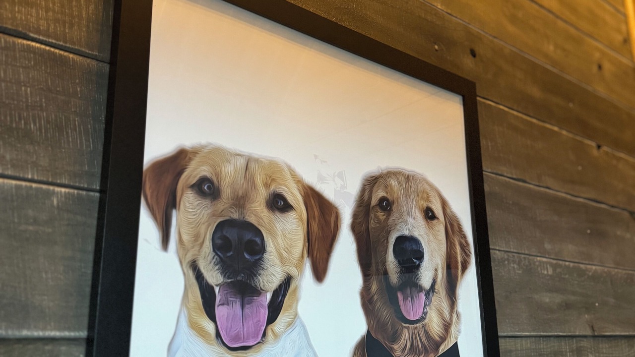 Photo of Others in Glasgow