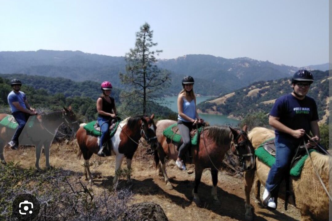 Photo of Others in Geyserville