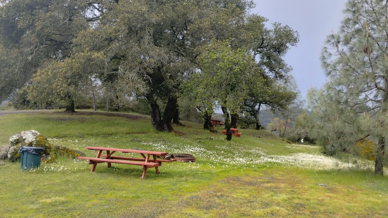 Photo of Outdoor in Geyserville