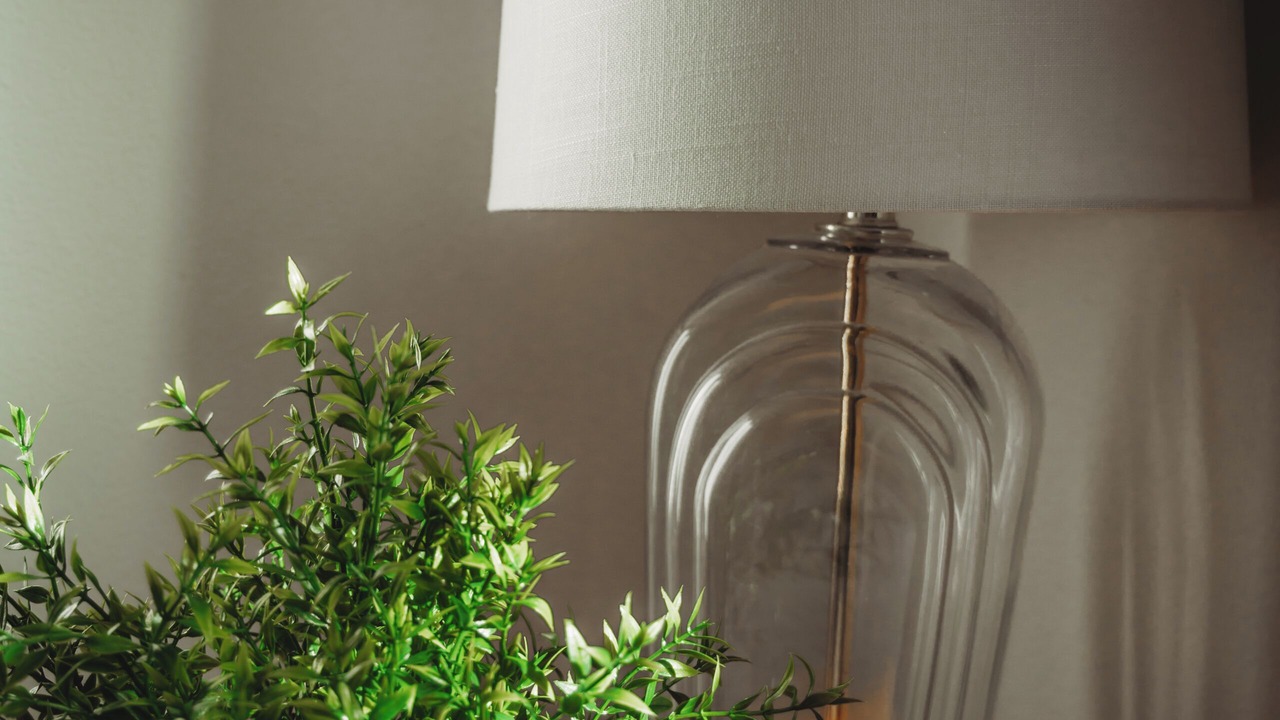 Photo of Others in Cheyenne