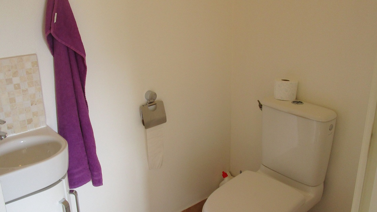 Photo of Bathroom in Saint Maurice