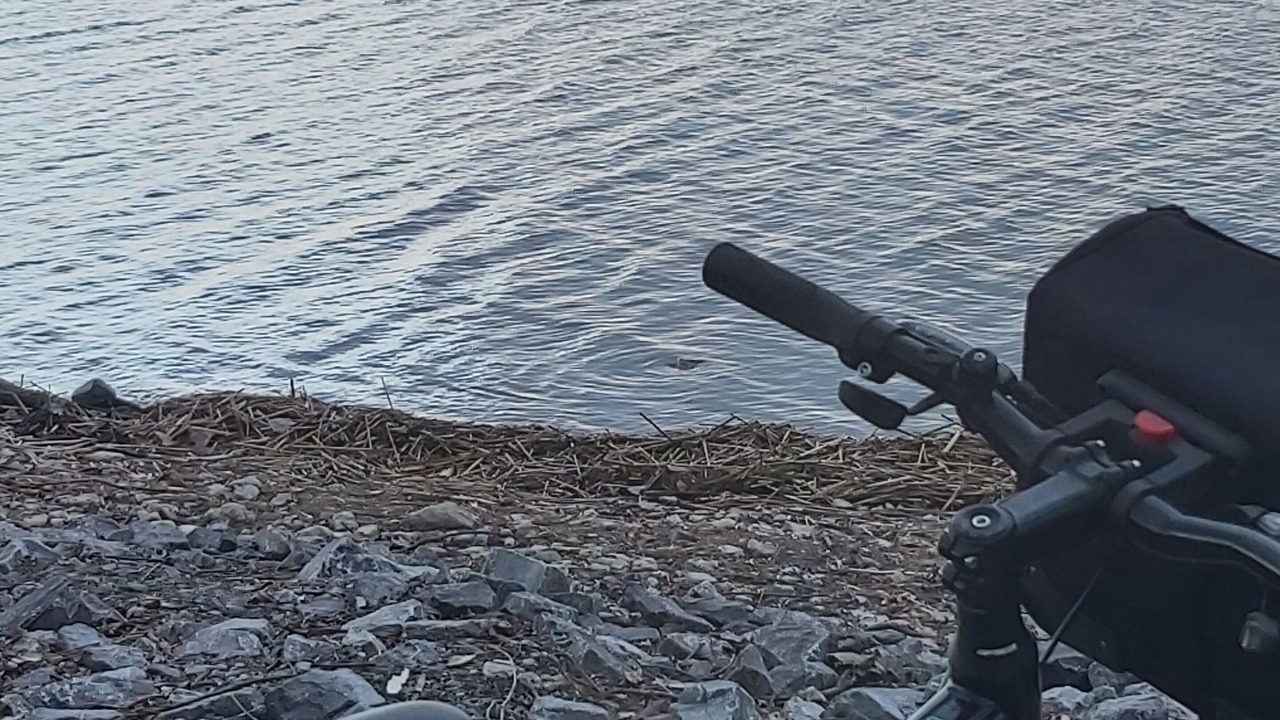 Photo of Others in Brighton