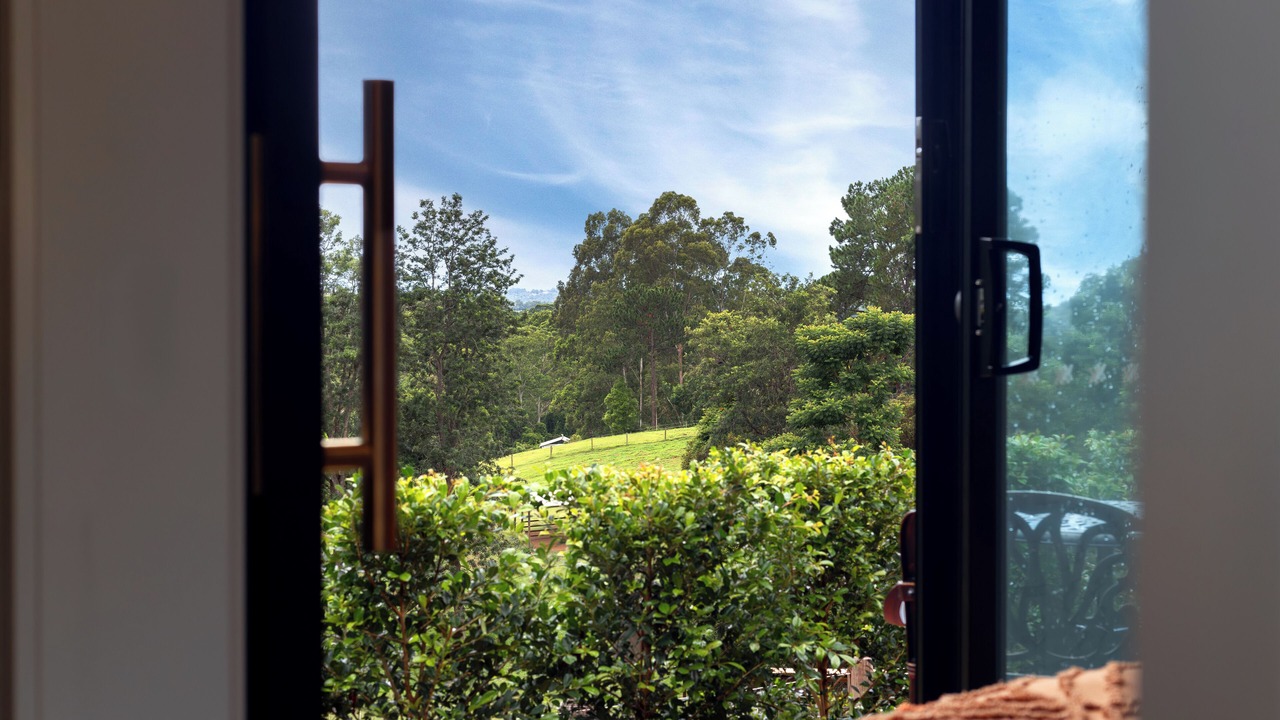 Photo of Others in Hunchy